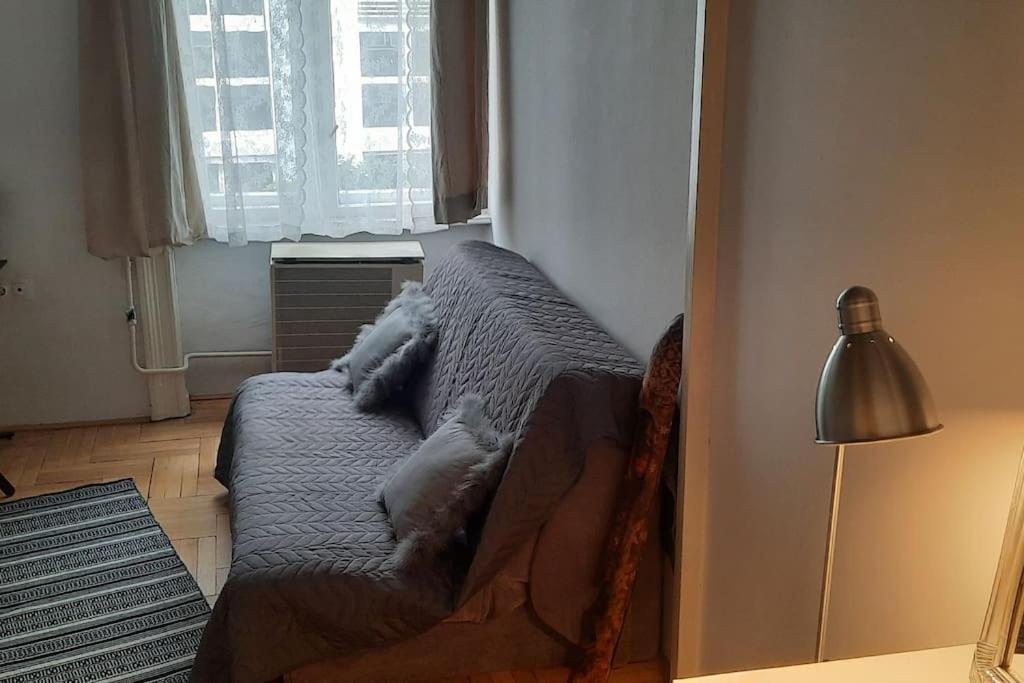 Nice Downtown Apartment بودابست المظهر الخارجي الصورة